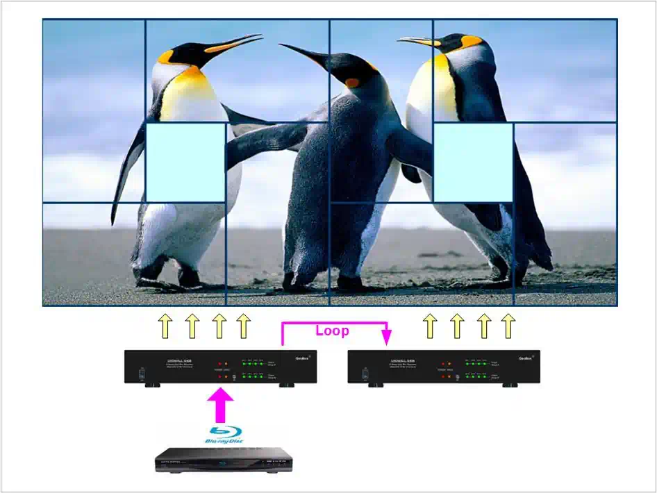 Portrait Landscape Video Wall Processor